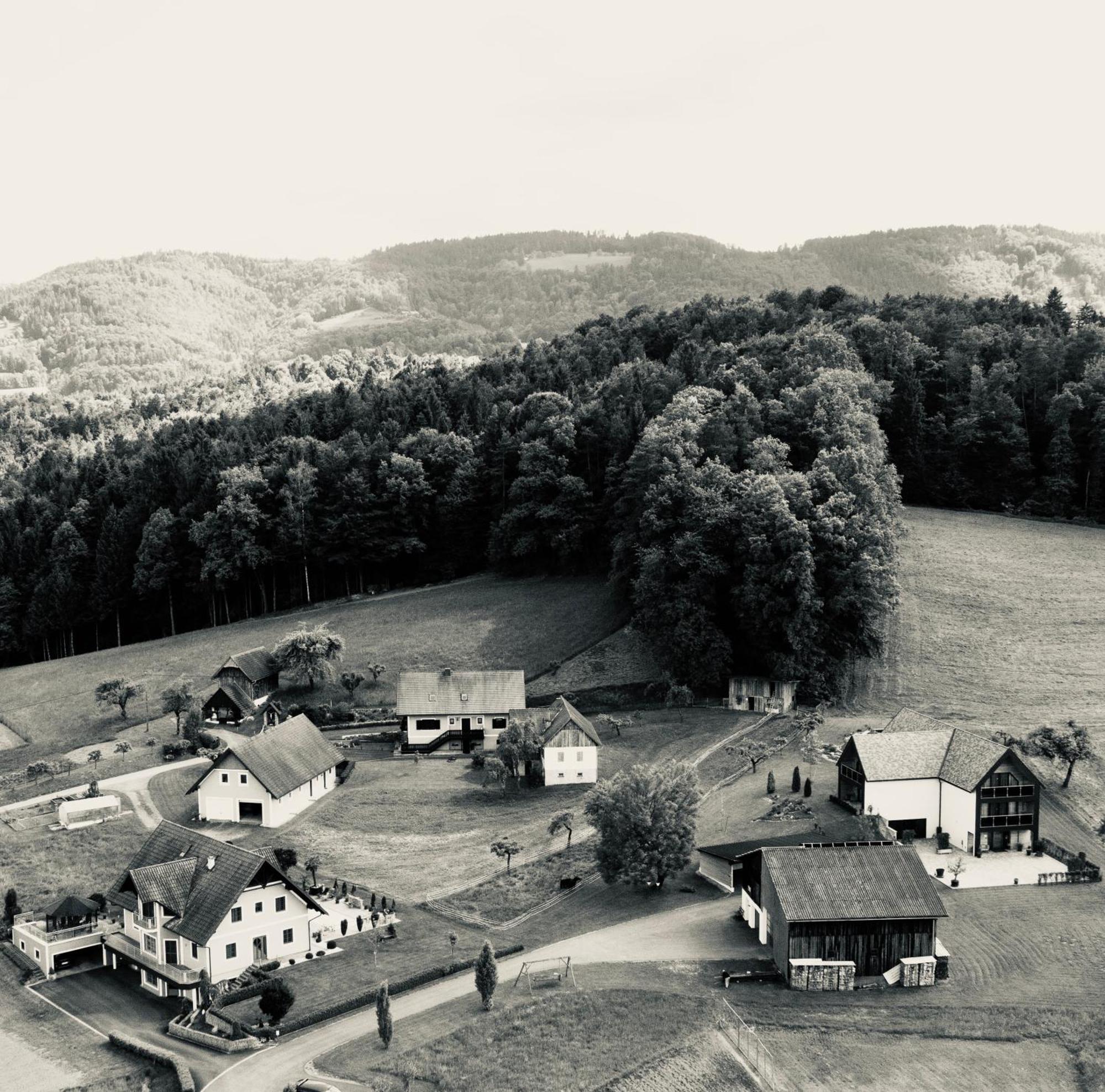 Koasa Hof Bed And Breakfast Oberhaag Eksteriør billede
